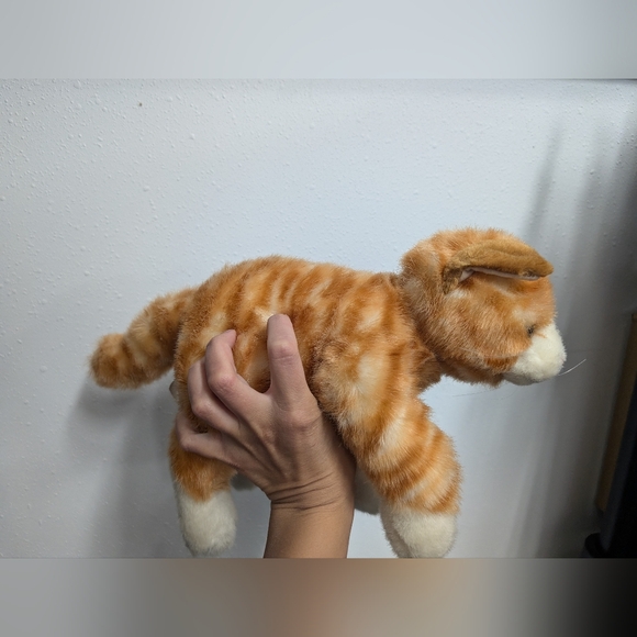 Beautiful orange tabby cat, tags attached but aged. - Picture 3 of 6